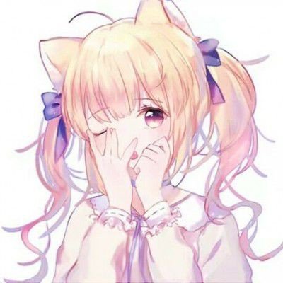 高会直播